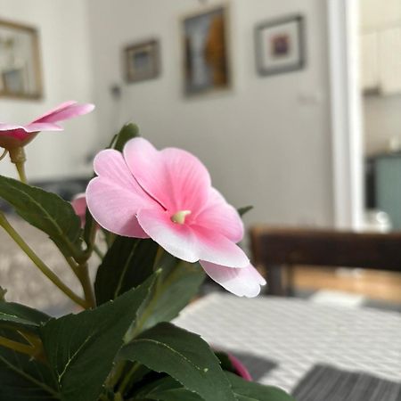 Kiraly Utca 15 Cozy Studio Budapest Eksteriør billede
